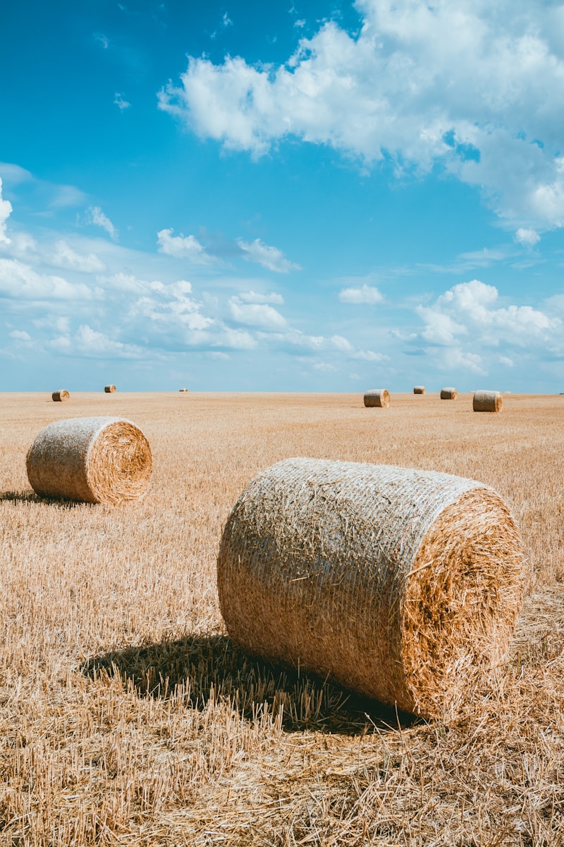 photography brown haystacks during daytime representing heat-related workers' compensation claims